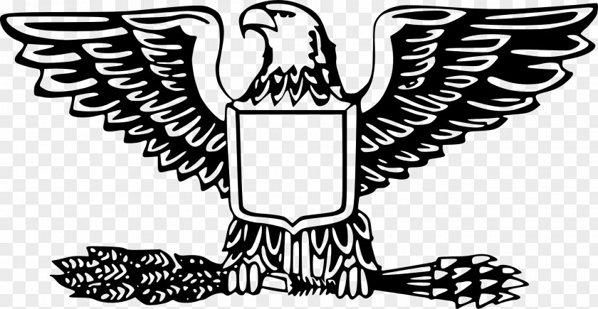 Emblem Vector Bald Eagle United States Clip Art PNG