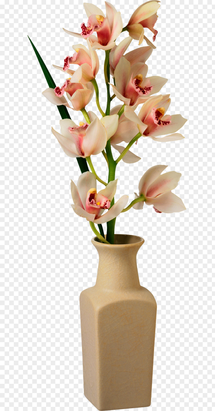 Flower Pot Vase Clip Art PNG