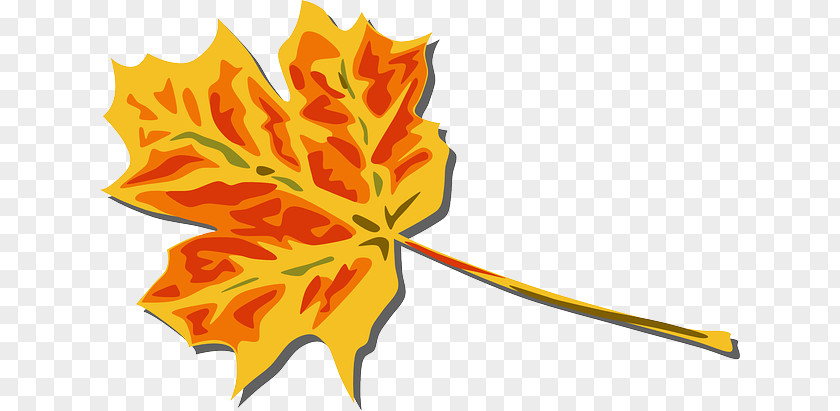 Folhagem Autumn Leaf Color Clip Art PNG