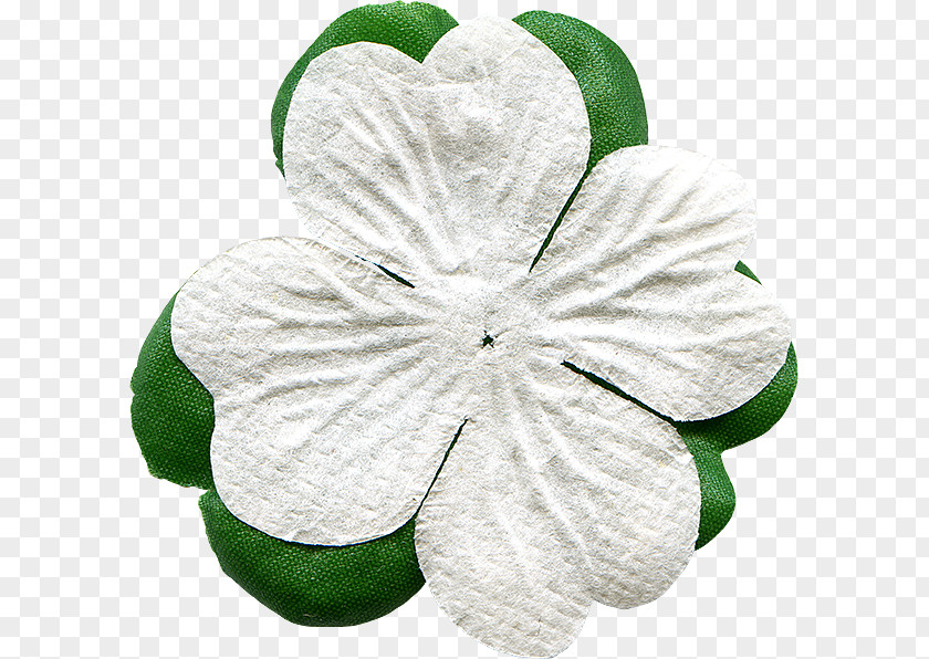 Green White Clover Google Images PNG