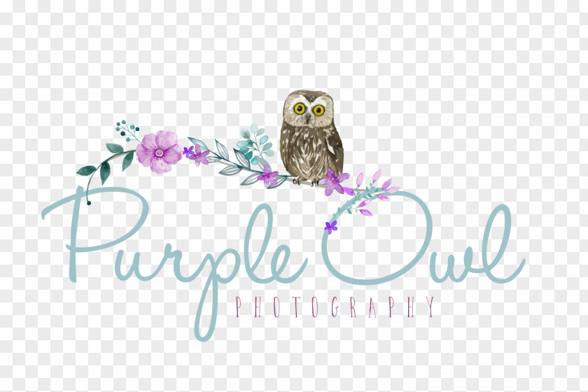 Owl Purple Photography Logo Brand Font PNG