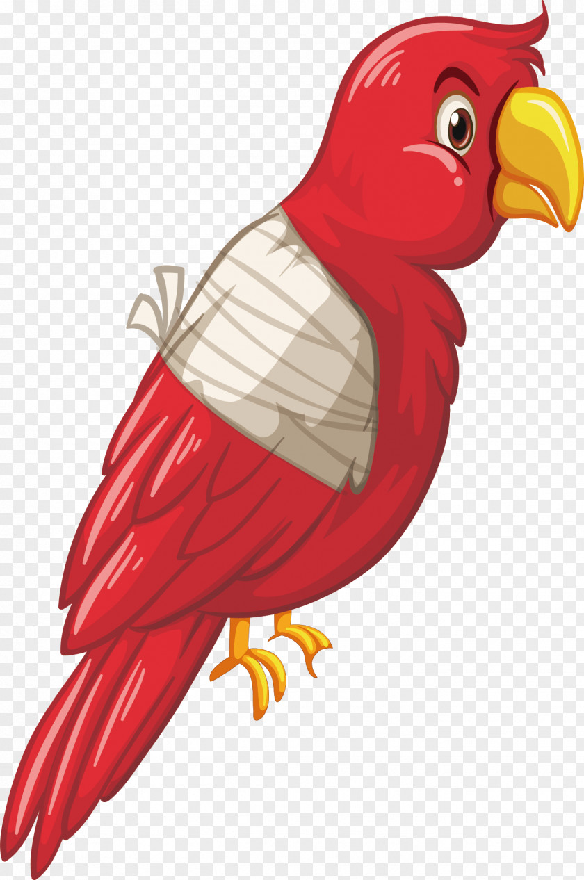 Vector Painted Cute Parrot Bird Royalty-free Clip Art PNG