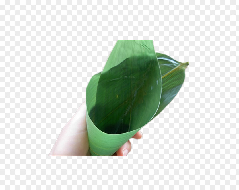 Bamboo Leaves Folded Into A Funnel-shaped Zongzi Leaf Gratis PNG