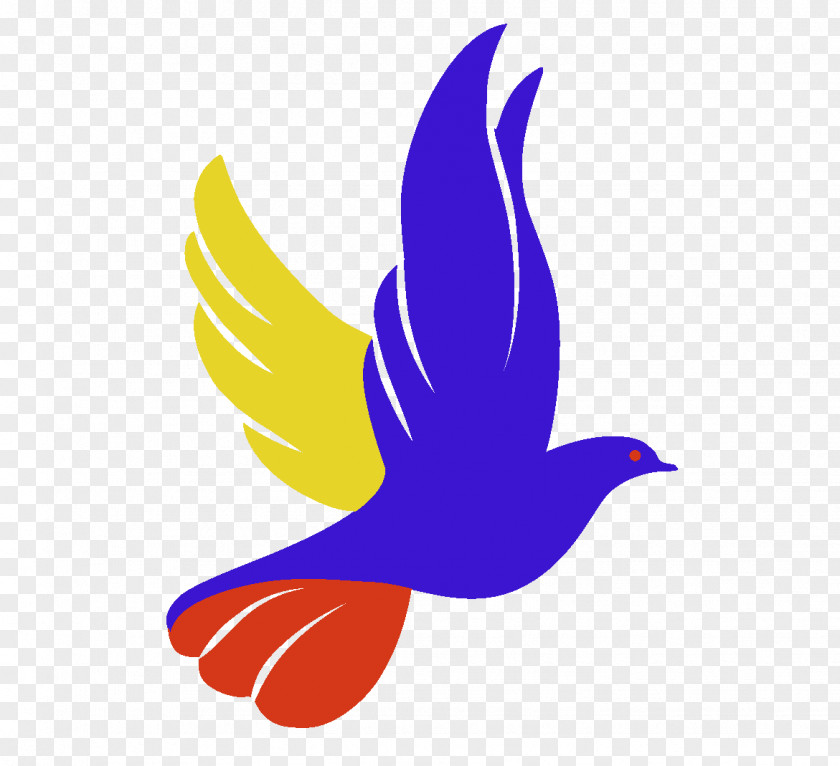 Columbidae Logo Doves As Symbols Drawing PNG