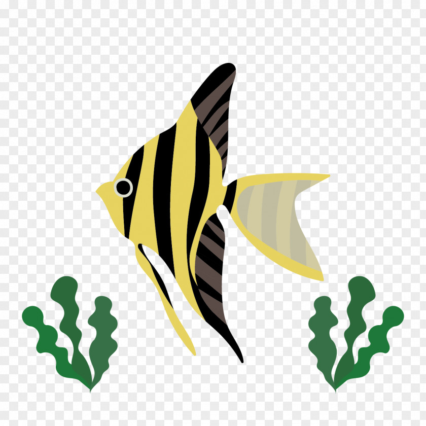 Fish Angelfish Tropical Clip Art PNG