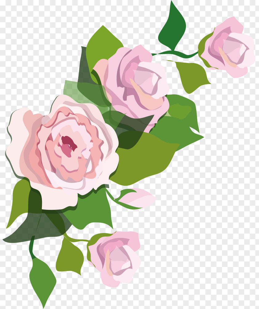 Floral Flowers PNG
