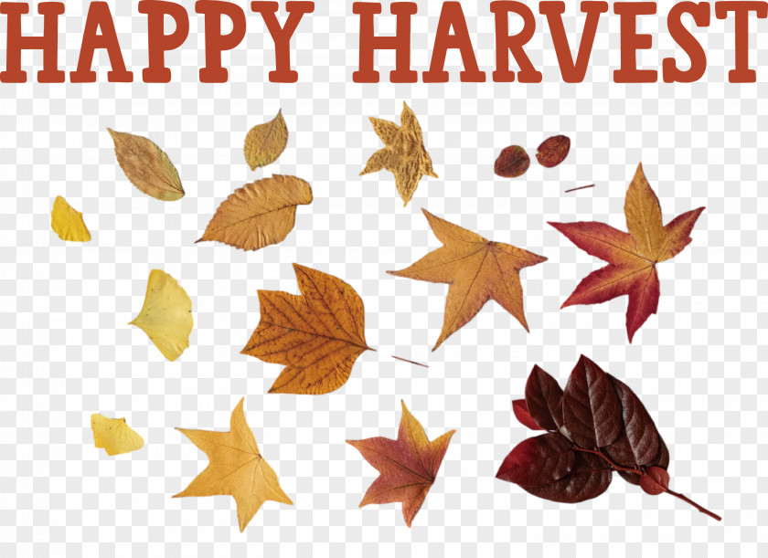 Happy Harvest Harvest Time PNG