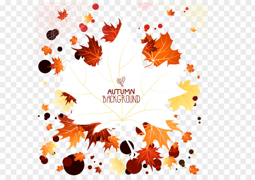 Maple Leaf Vector Plane Autumn PNG