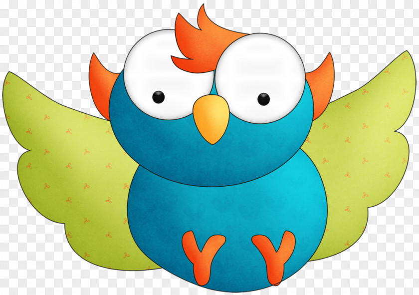 Owl Little Bird Beak Clip Art PNG