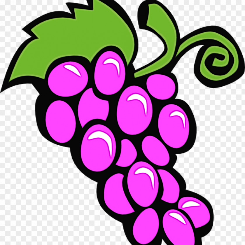 Plant Seedless Fruit Grape Grapevine Family Clip Art Purple Violet PNG