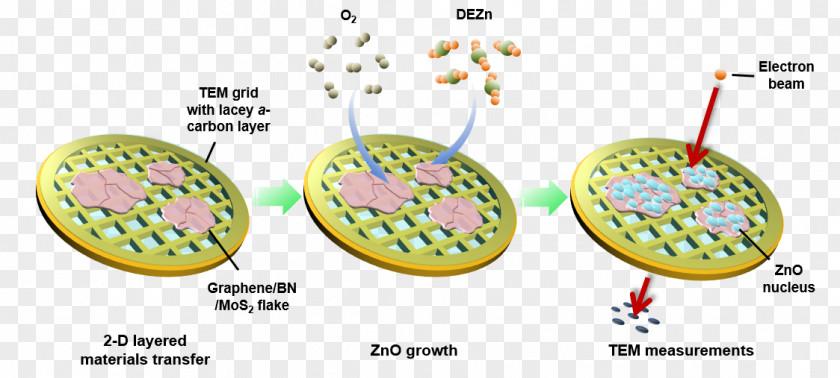 Transmission Electron Microscopy Graphene Two-dimensional Materials Molybdenum Disulfide Boron Nitride PNG