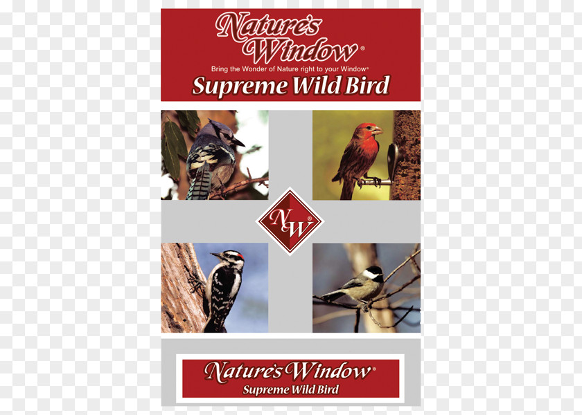 Bird Nature Advertising Pet Food Brand PNG