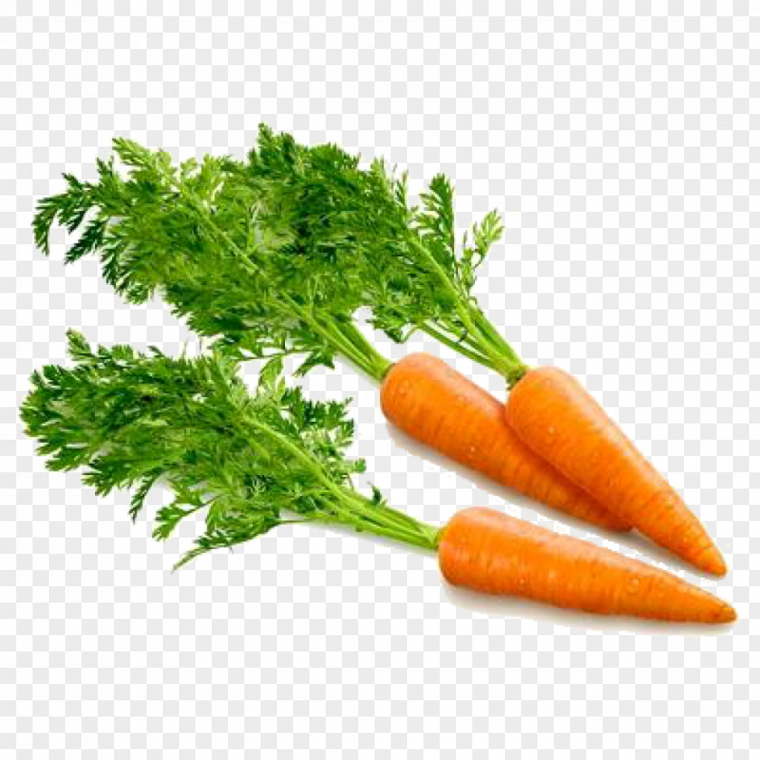 Carrot Clip Art PNG