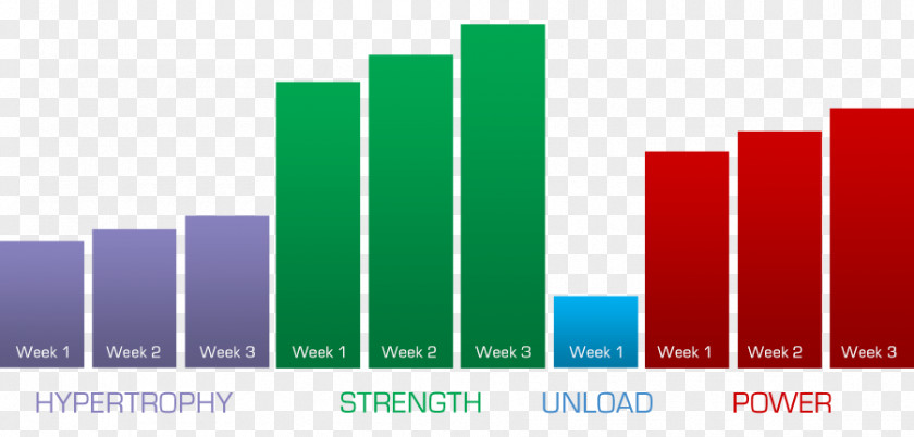 Christmas Chart Sports Periodization Training Athlete Exercise PNG