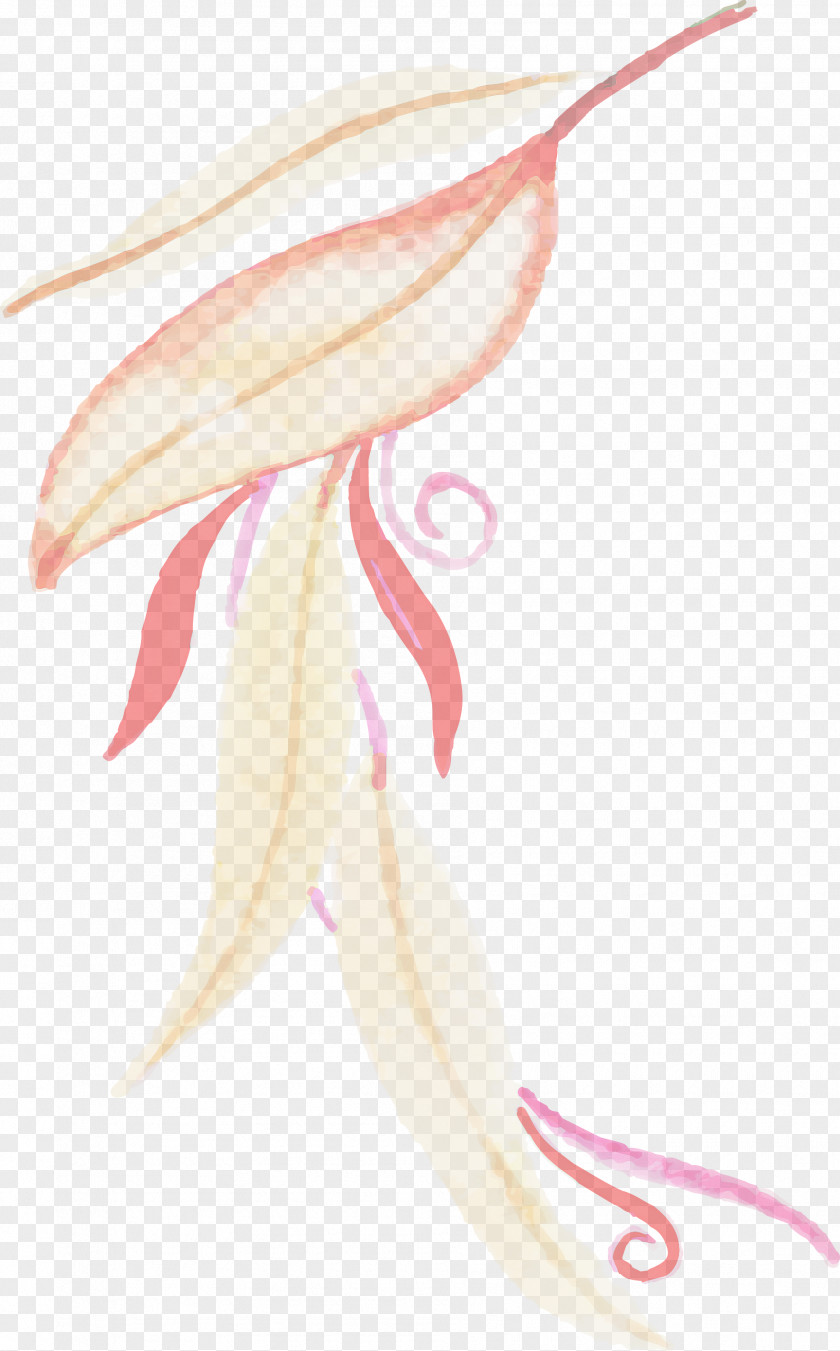 Flower Drawing /m/02csf Petal Line PNG