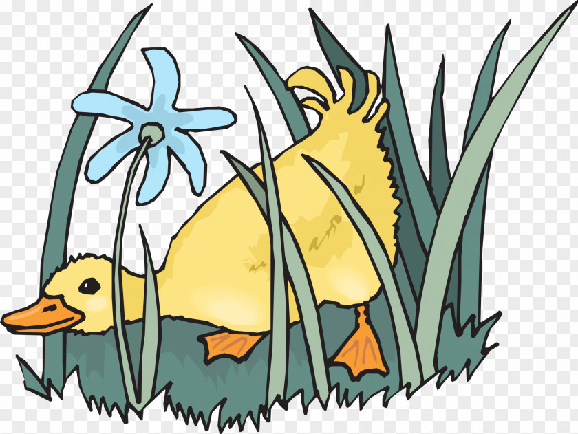 Grass Cute Little Duck Line Art Clip PNG