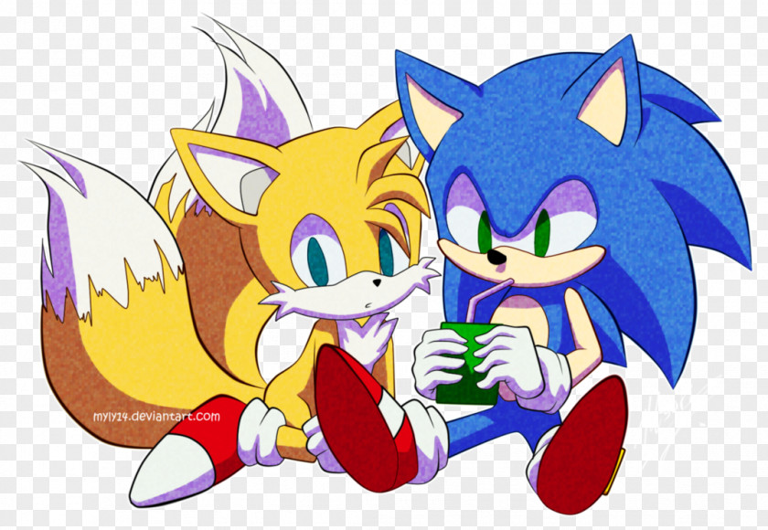Hedgehog Sonic Chaos Tails The 3 Riders PNG