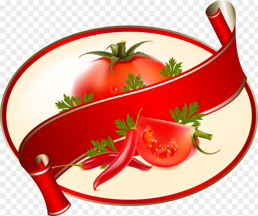 Tomato Wrap Salsa Hamburger Meatball Sauce PNG