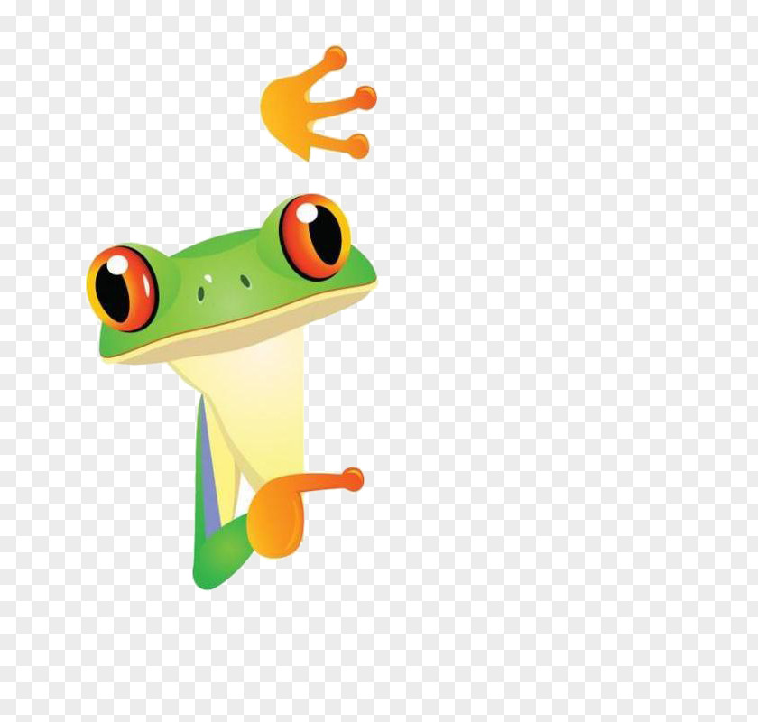 Cartoon Frog Illustration PNG