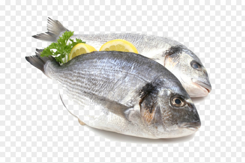 Fish Seafood Protein Nutrient PNG