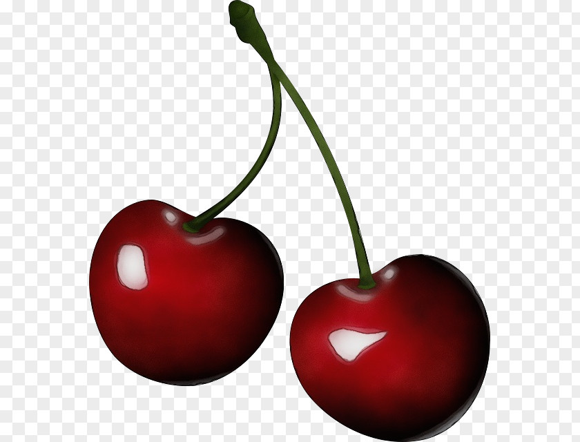 Flowering Plant Heart Cherry Fruit Red Food PNG