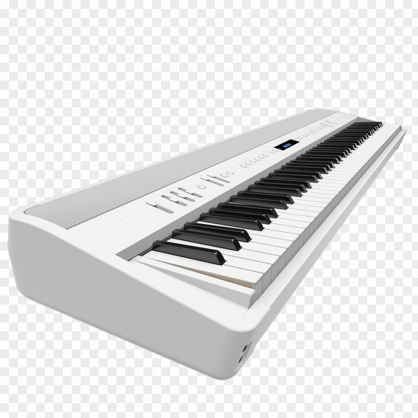 Piano Digital Keyboard Stage Roland Corporation PNG