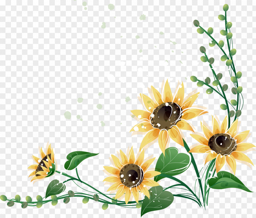 Sunflower Common Menu PNG