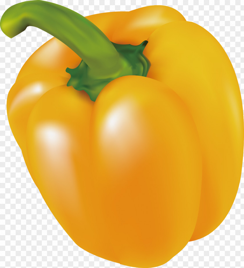 Vector Yellow Peppers Pepper Bell Computer File PNG