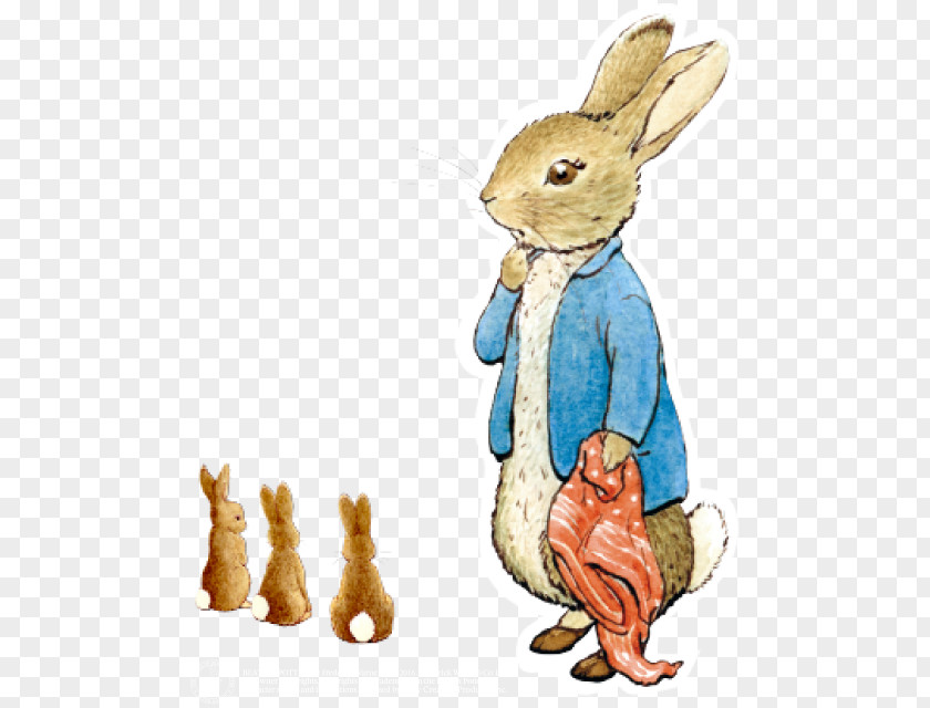 Beatrix Potter Peter Rabbit Domestic The Tale Of PNG