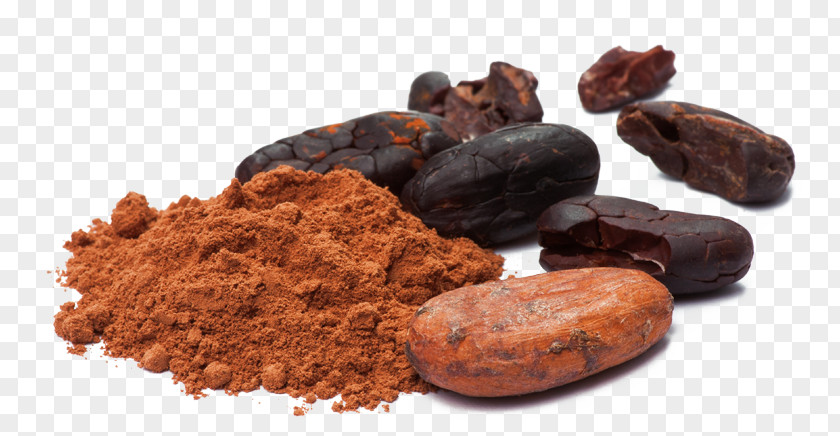 Chocolate Organic Food Cocoa Bean Solids Theobroma Cacao PNG