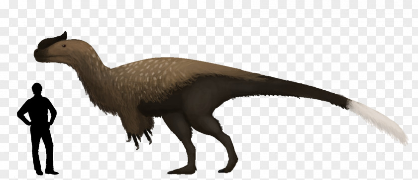 Dinosaur Sinotyrannus Tyrannosaurus Carnotaurus Animal PNG