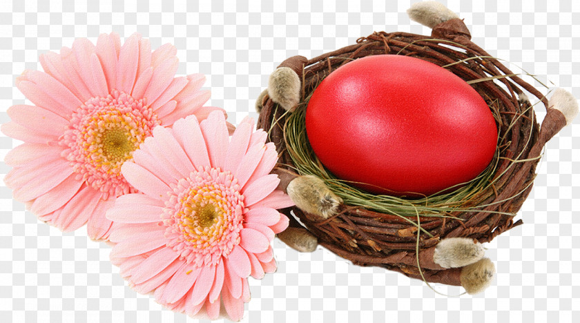 Easter Kyustendil Bosilegrad Moldova Bulgarian PNG