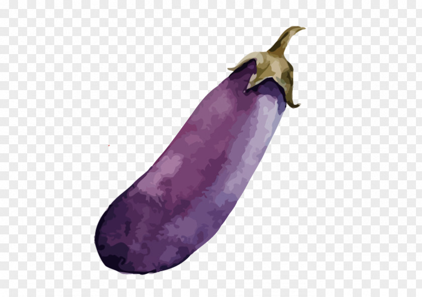 Eggplant Vegetable Watercolor Painting Carrot PNG