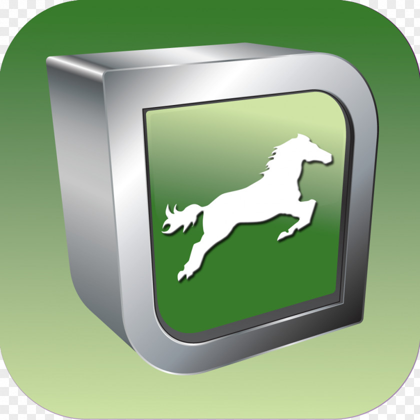 Equine Anatomy Radiography App Store WikEM Horse PNG