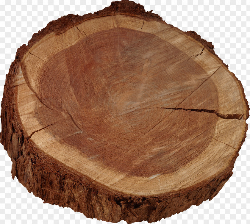 Stump Wood Tree Procurement Forest Management Contract PNG