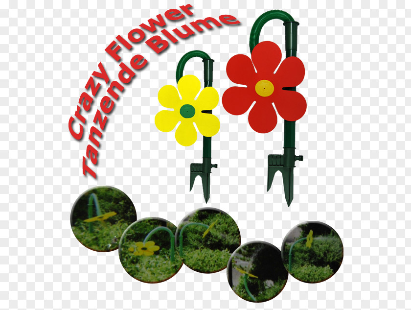 Bargain Flowers Product Graphics Font Fruit PNG