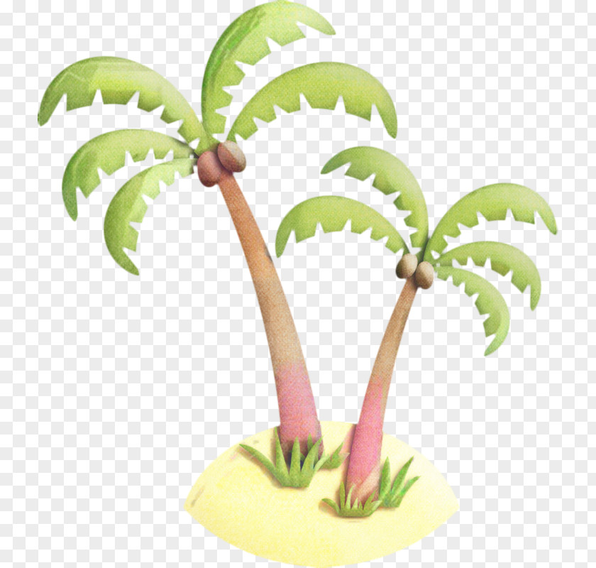 Flowerpot Plant Stem Coconut Tree Drawing PNG