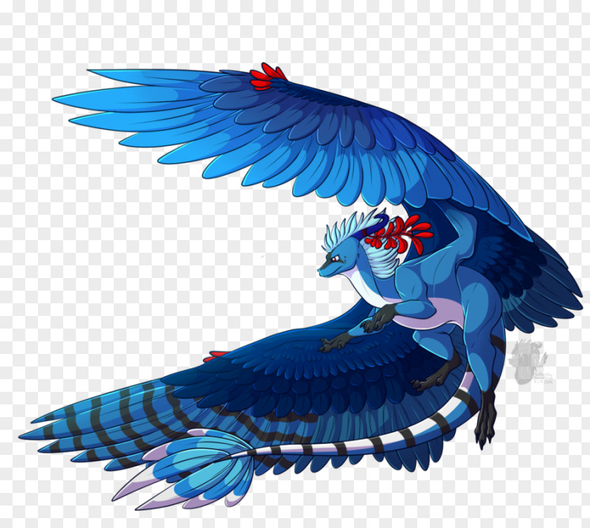 Macaw Dragons Unite DeviantArt Bird Parakeet PNG