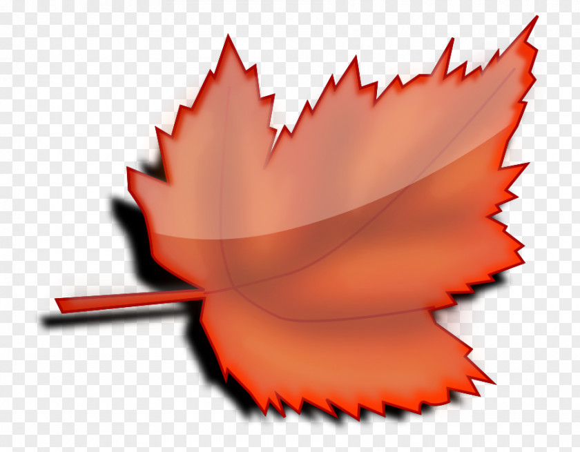 Maple Leaf Clipart Autumn Color Clip Art PNG