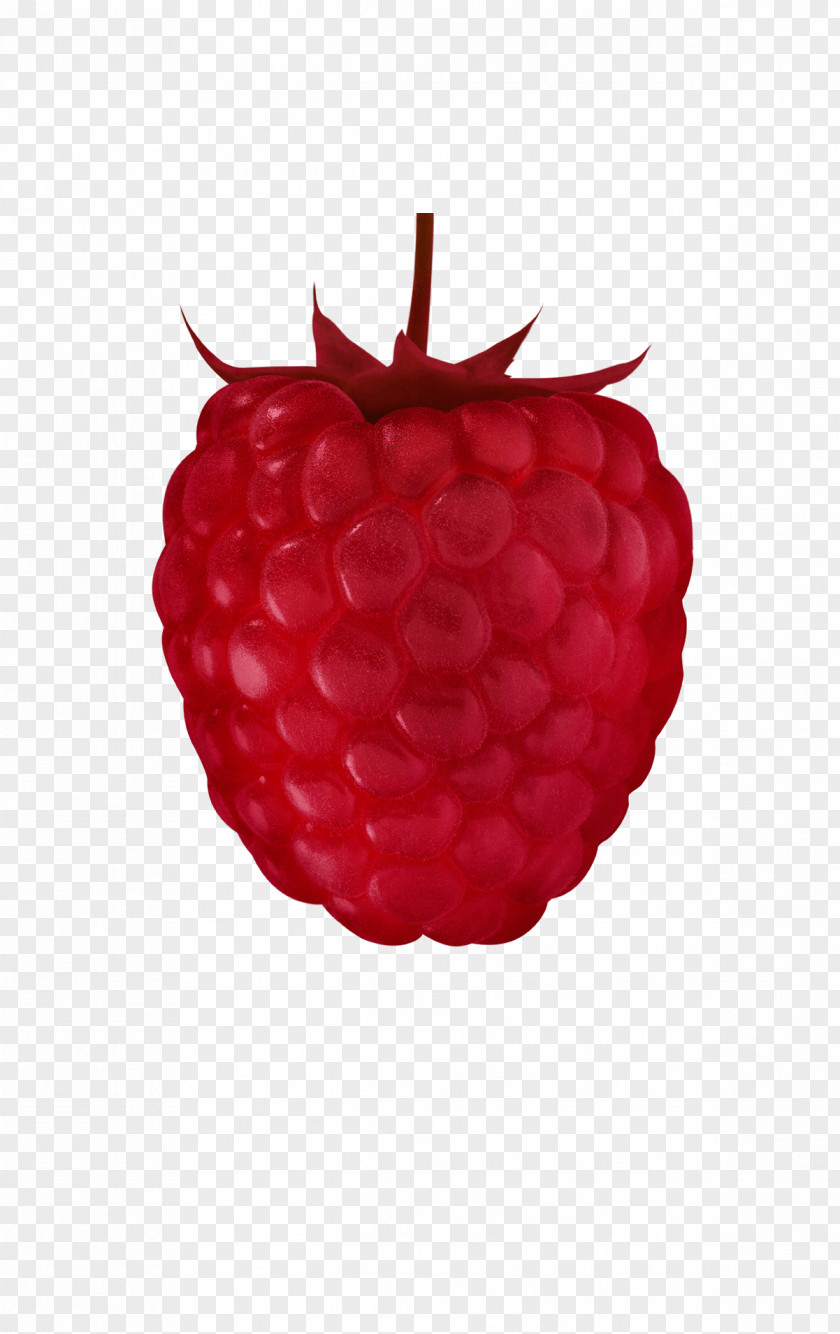 Menschlich Gesehen Ziemlich Abstossend Red Raspberry Accessory Fruit Auglis PNG
