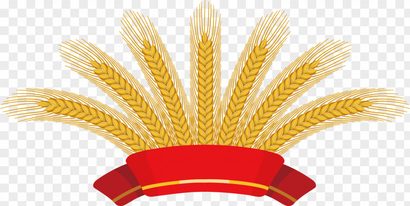 Red Ribbon Wheat Harvest Common Ear Clip Art PNG