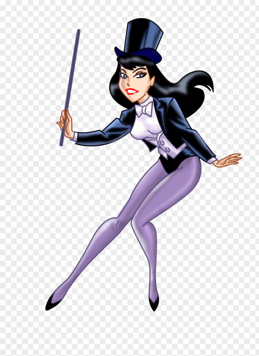 Zatanna File Batman Catwoman DC Animated Universe Superhero PNG