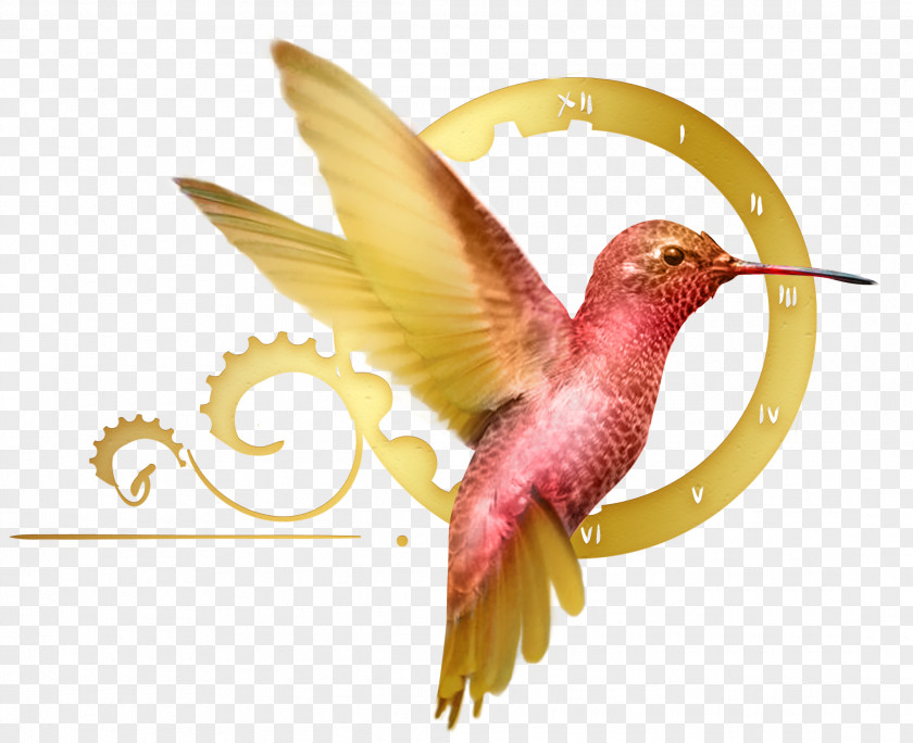Birds Watercolor Hummingbird M Business Entrepreneurship System PNG