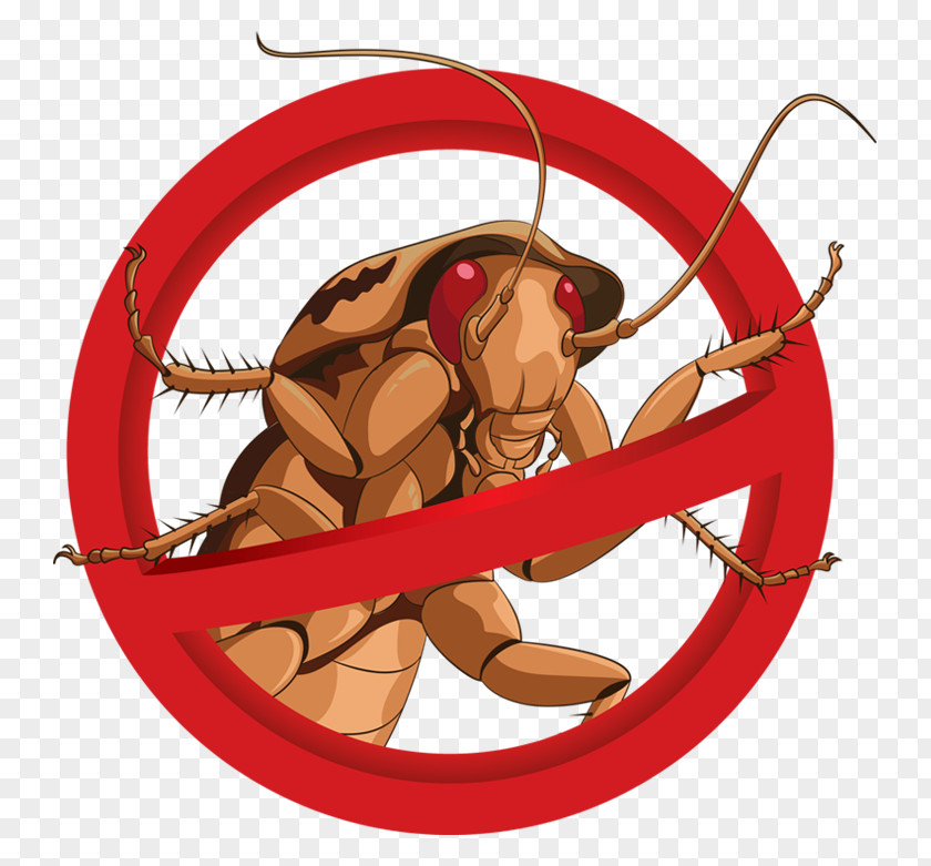 Prohibit Insect Pixels Cockroach Mosquito Pest Control Illustration PNG