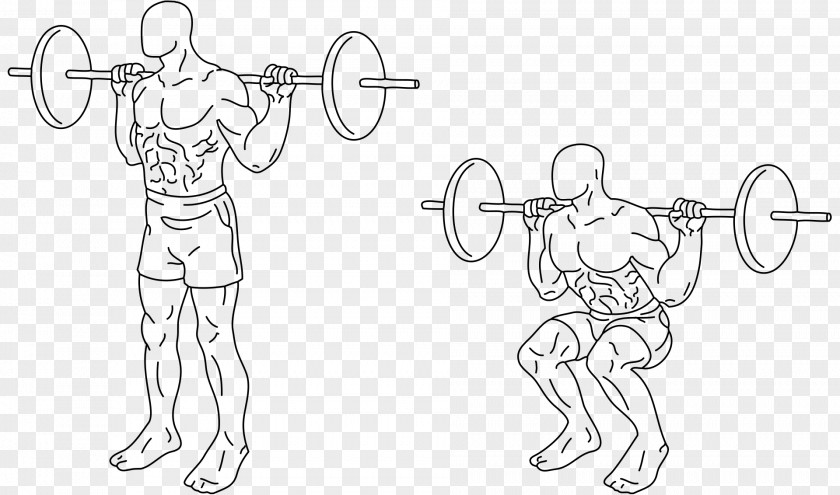Barbell Squat Exercise Human Back Weight Training PNG