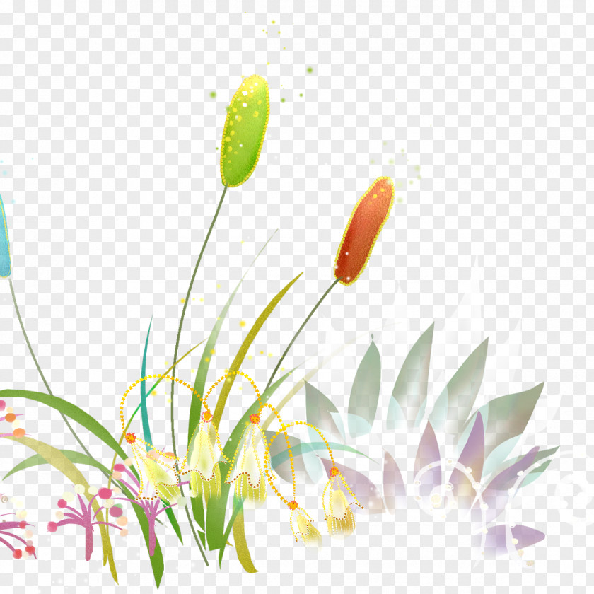 Computer Hand-painted Flowers Wallpaper PNG