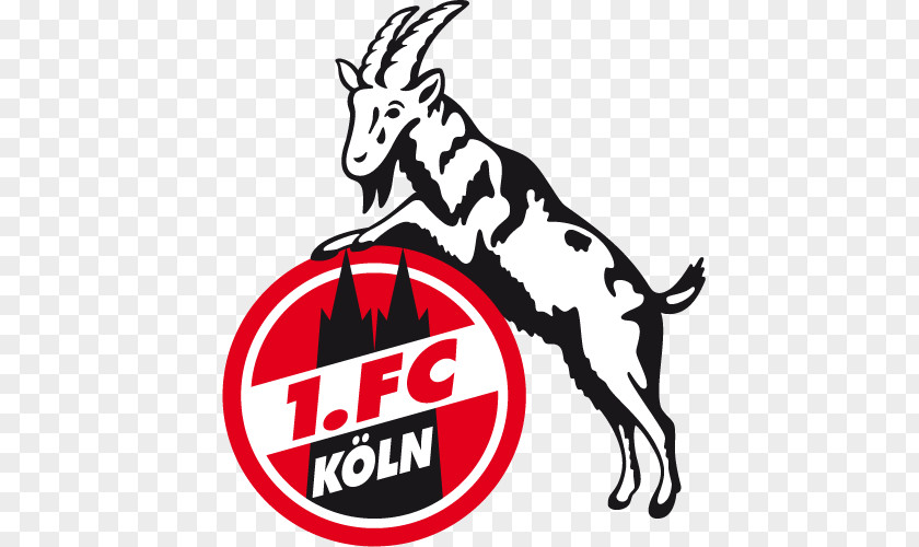 Football 1. FC Köln Bundesliga Cologne VfL Wolfsburg RB Leipzig PNG