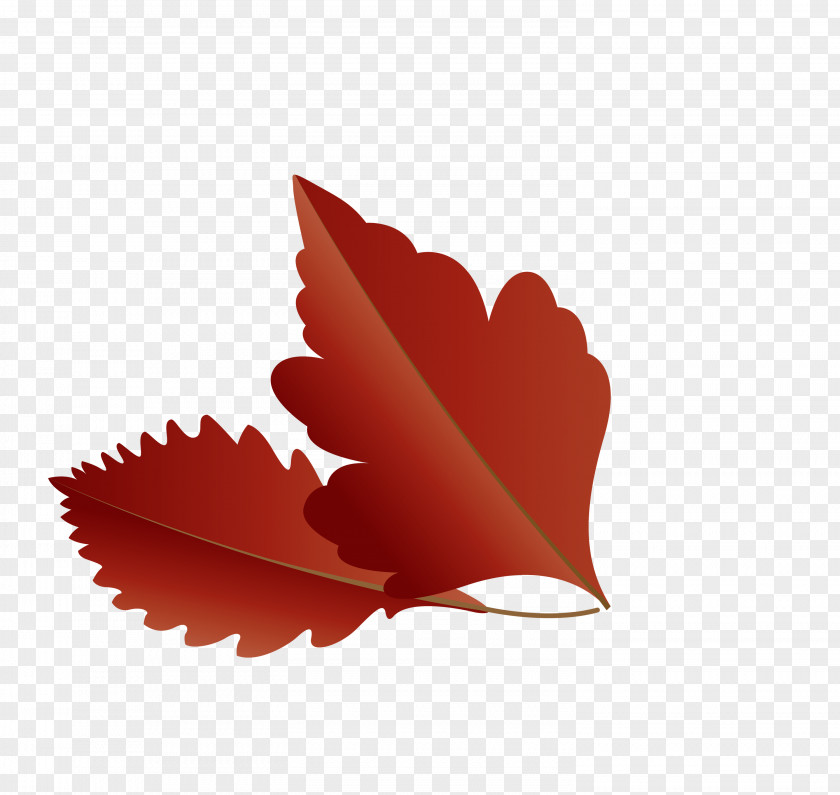 Maple Leaf PNG