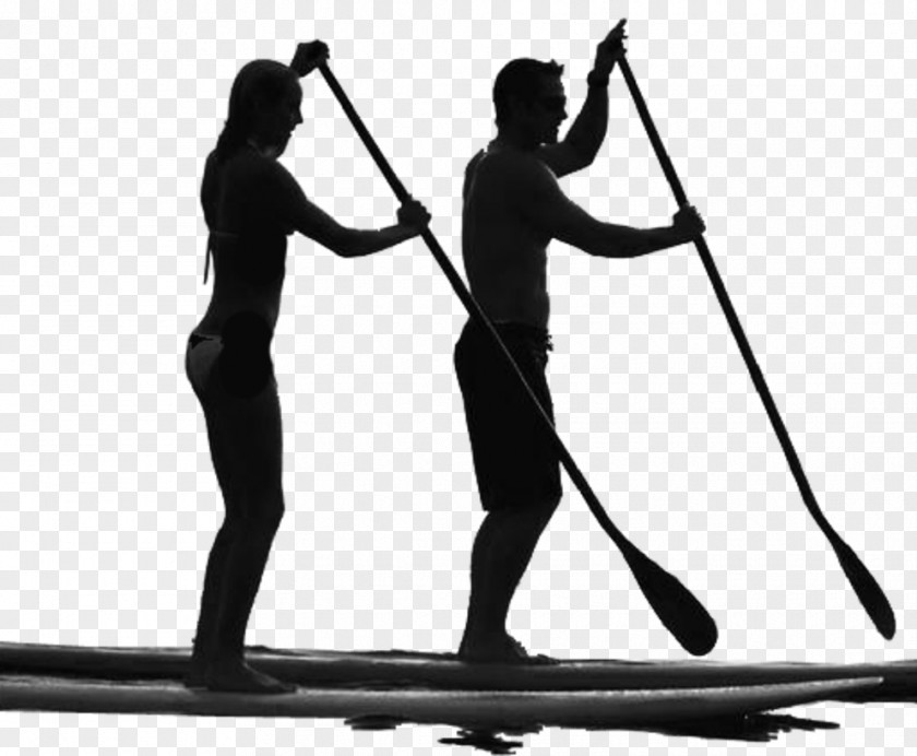 Paddle Standup Paddleboarding Surfing Manatee Sales & Rentals PNG