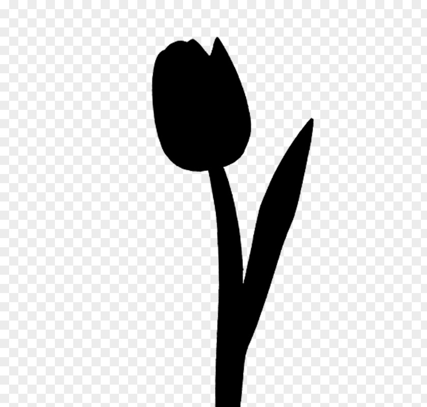 Tulip Plant Stem Clip Art Leaf Desktop Wallpaper PNG